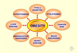 Habilite Bariatrics - Cover photo