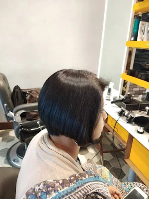 Hair Master Luxury Salon - Logo