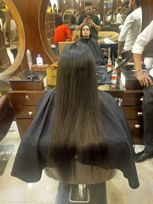 Hair Master Luxury Salon - Logo