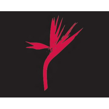 Hairology - Logo