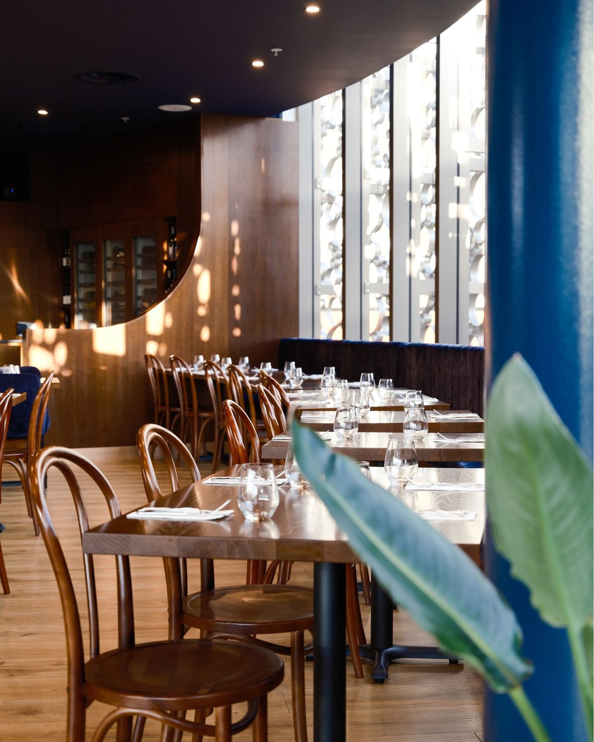 Hali Bar & Bistro - Logo