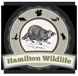 Hamilton Wildlife - Logo