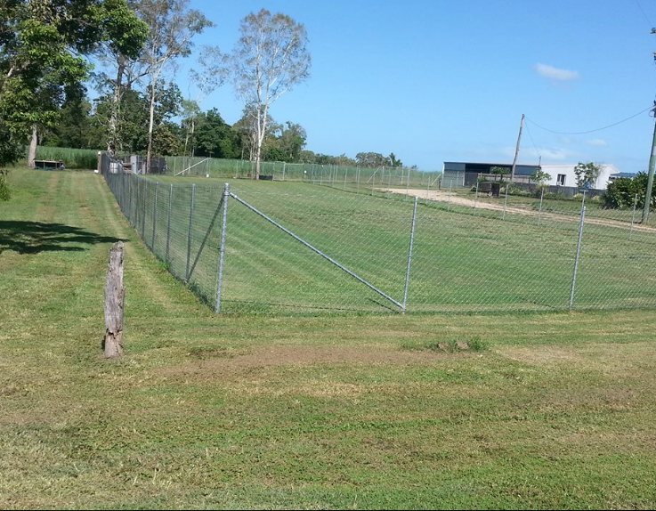 Hampden-Valley Kennels & Cattery - Logo