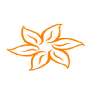 Hands and Soul Holistic Spa - Logo