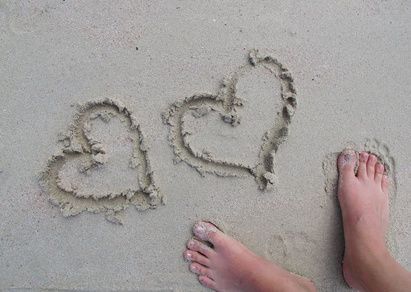 Hands To Heel - Logo