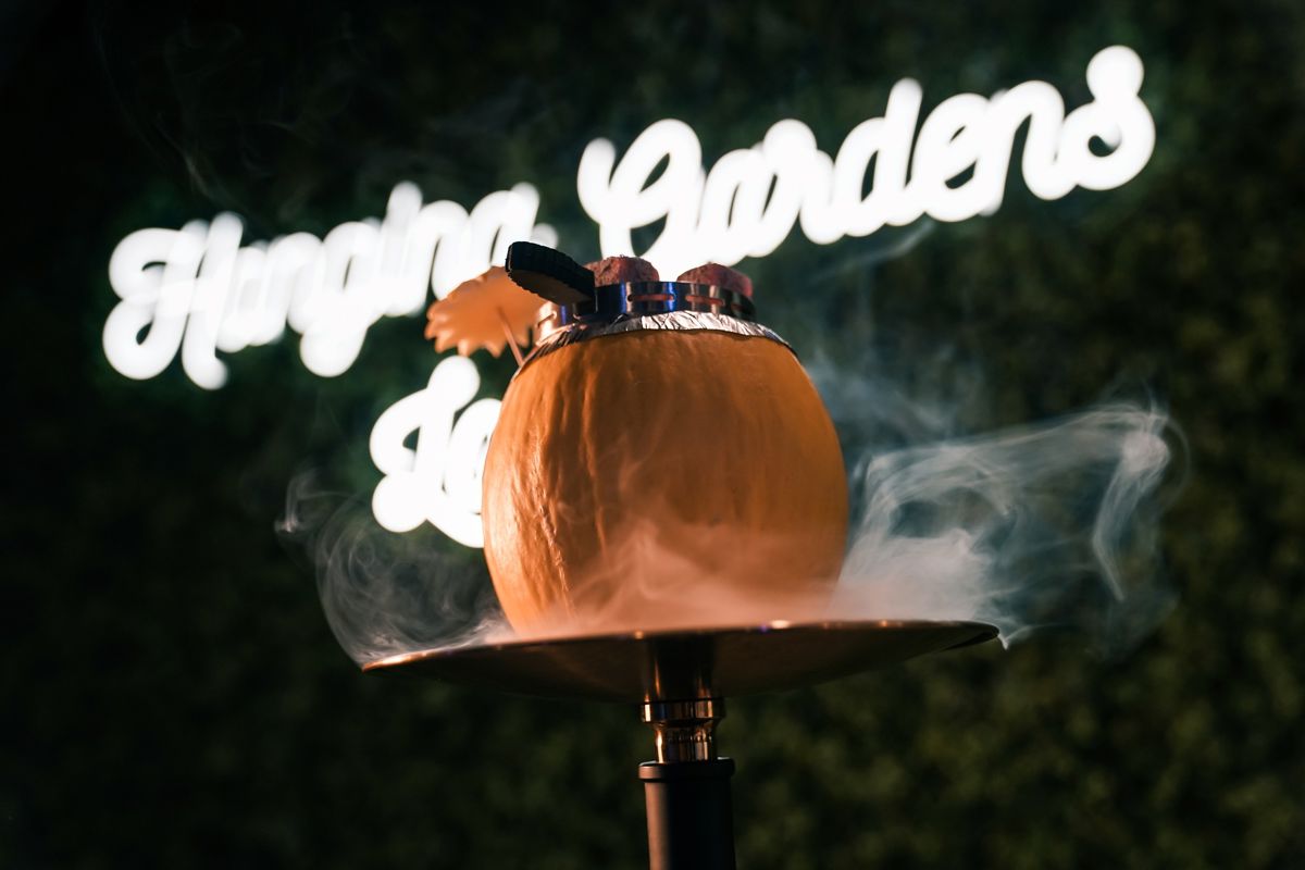 Hanging Gardens Lounge - Logo