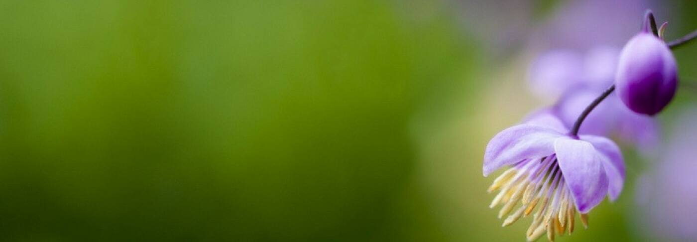 Hannah Moore Naturopath and Wellness - Cover photo