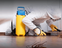 Happy Pest Control Service - Logo