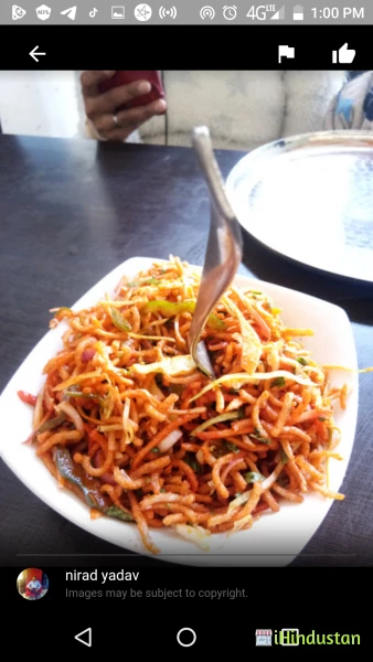 Harishankar Veg Restro - Logo