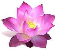 Harmony MediSpa and Massage - Logo