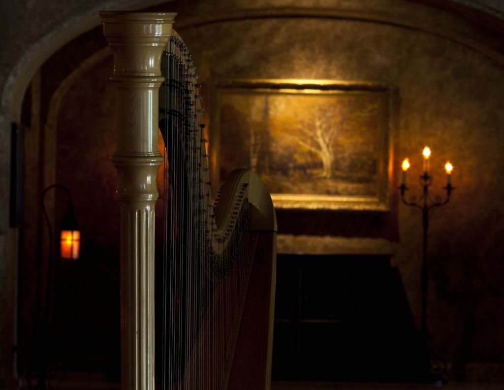 Harpist-Tracy Sweet - Cover photo