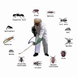 Haryana Pest Control - Logo