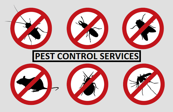 Haryana Pest Control - Cover photo
