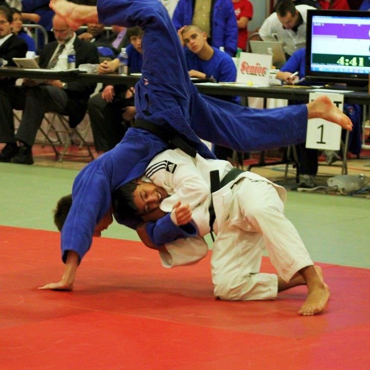 Hayabusakan Judo - Logo
