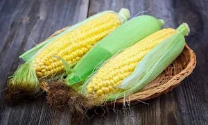 Healthy Food - Cover photo
