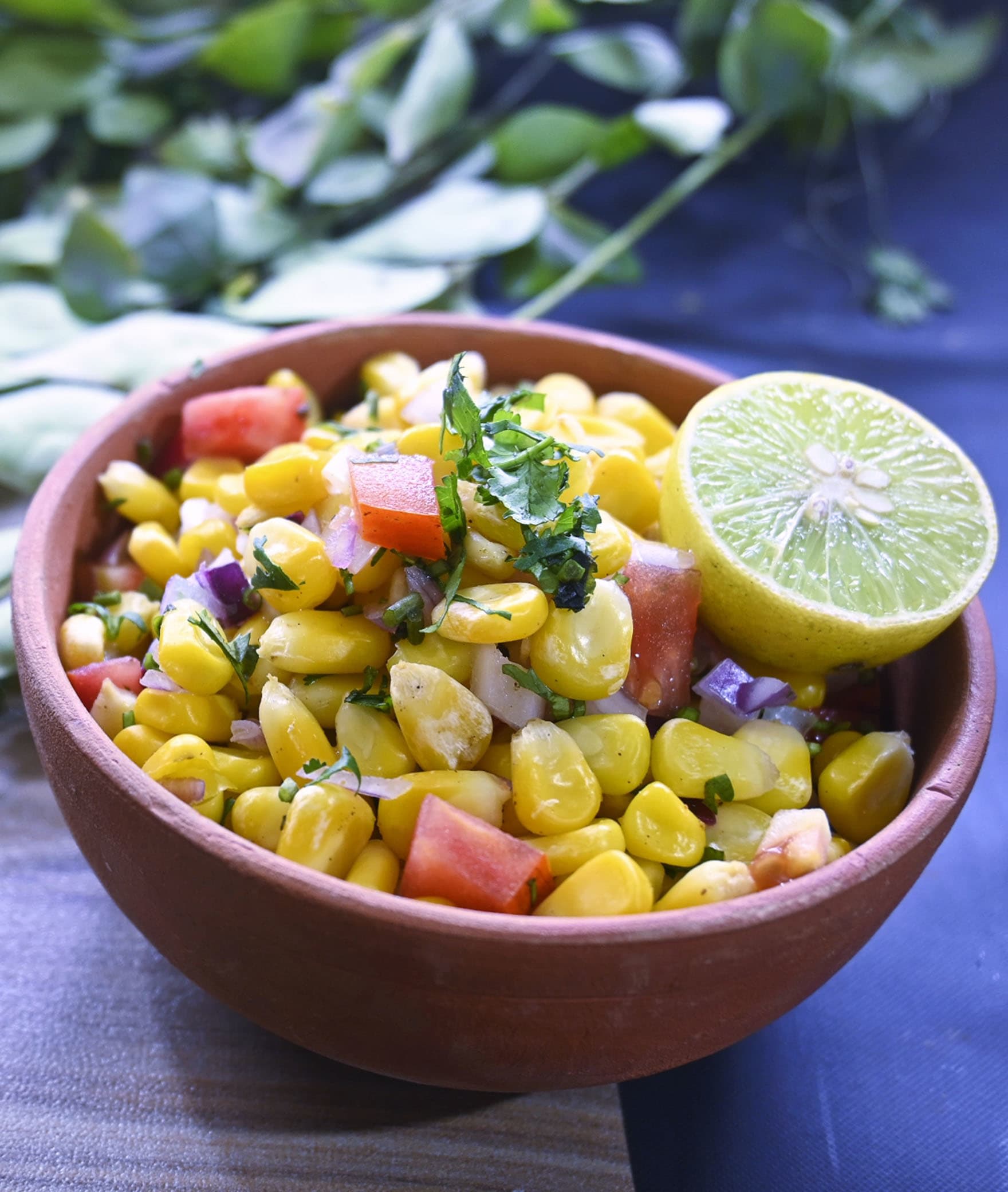 Healthy Chaat n Snack - Logo