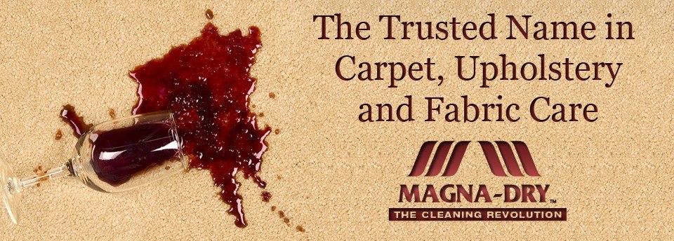 Healthy Cleaning Solutions - Logo