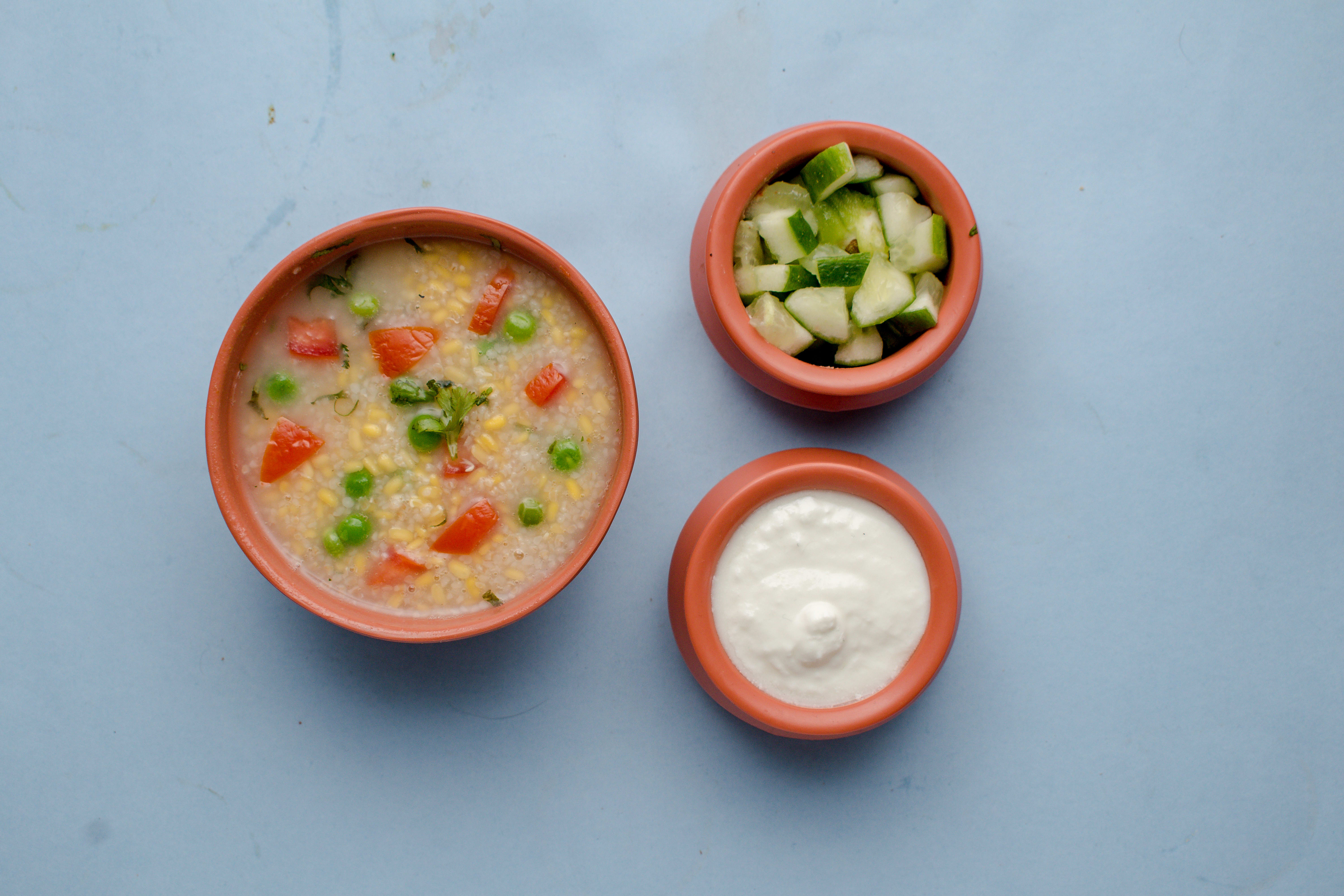 Healthy Indian Dhaba (H.IN.D) - Logo