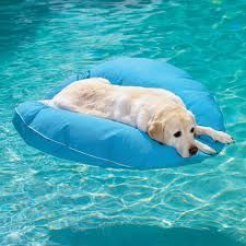 Healthy Pool Swimming Pool Services - Cover photo