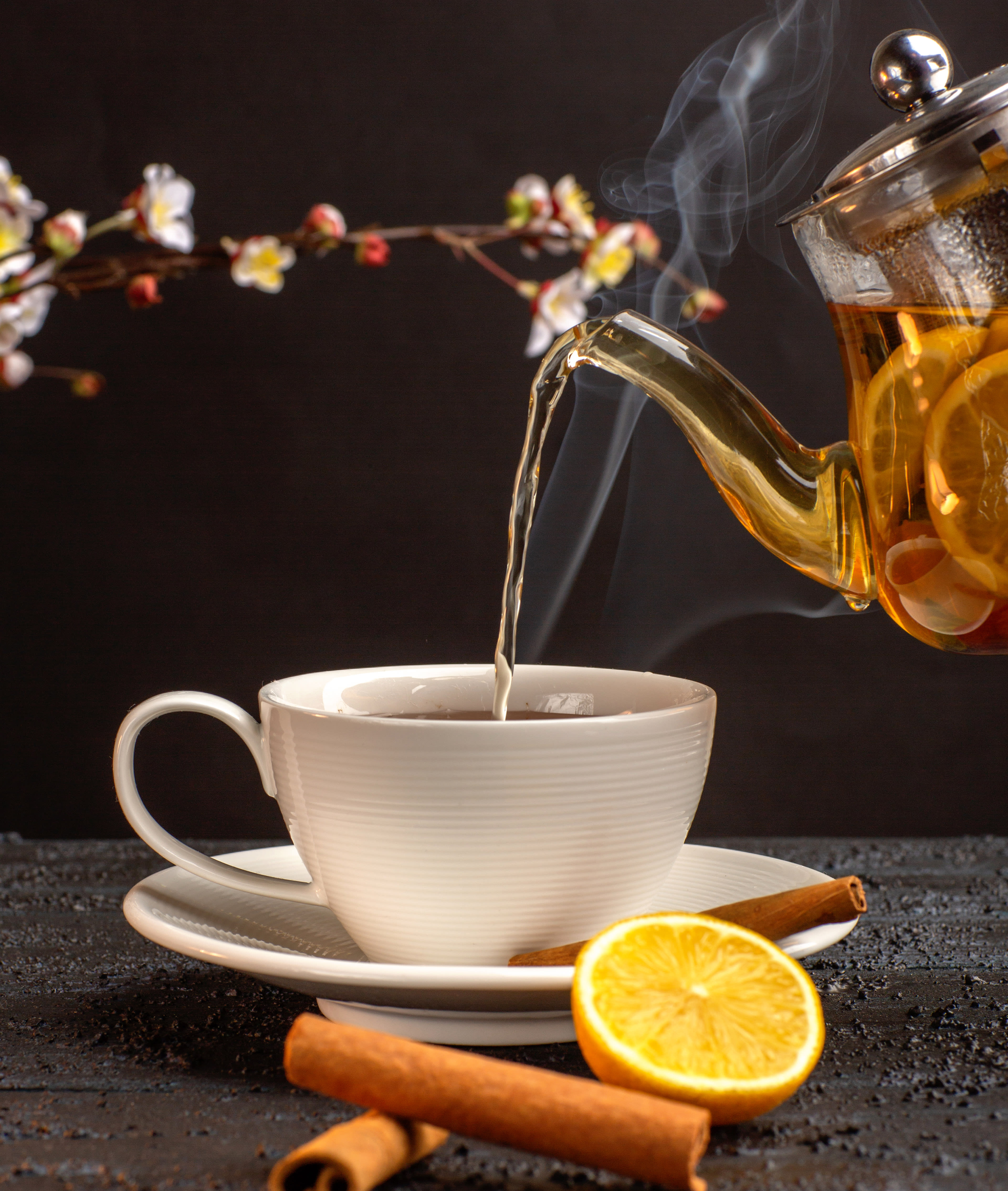Healthy Tea House - Logo