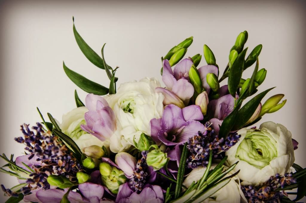 Hearts &a; Flowers at Westmount - Logo