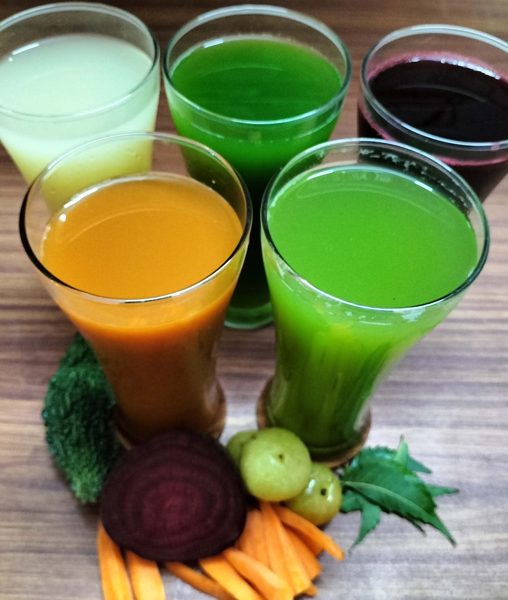 Heathy Option - Logo