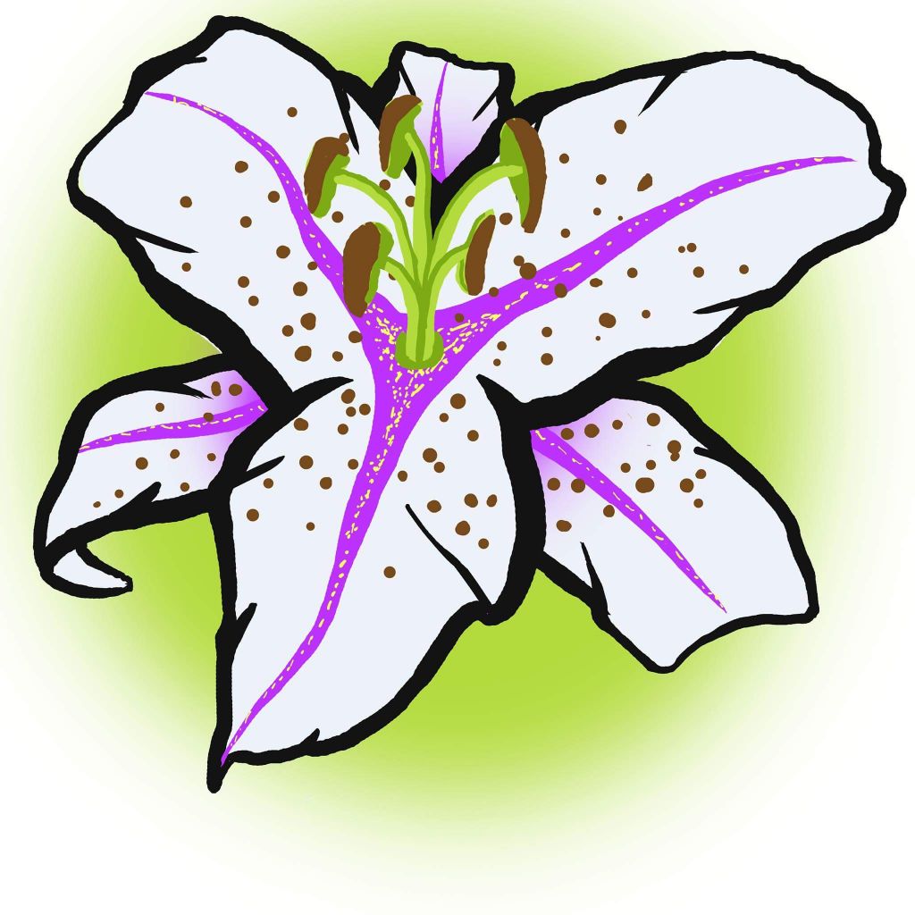 Heier Massage Therapy Ltd. - Cover photo