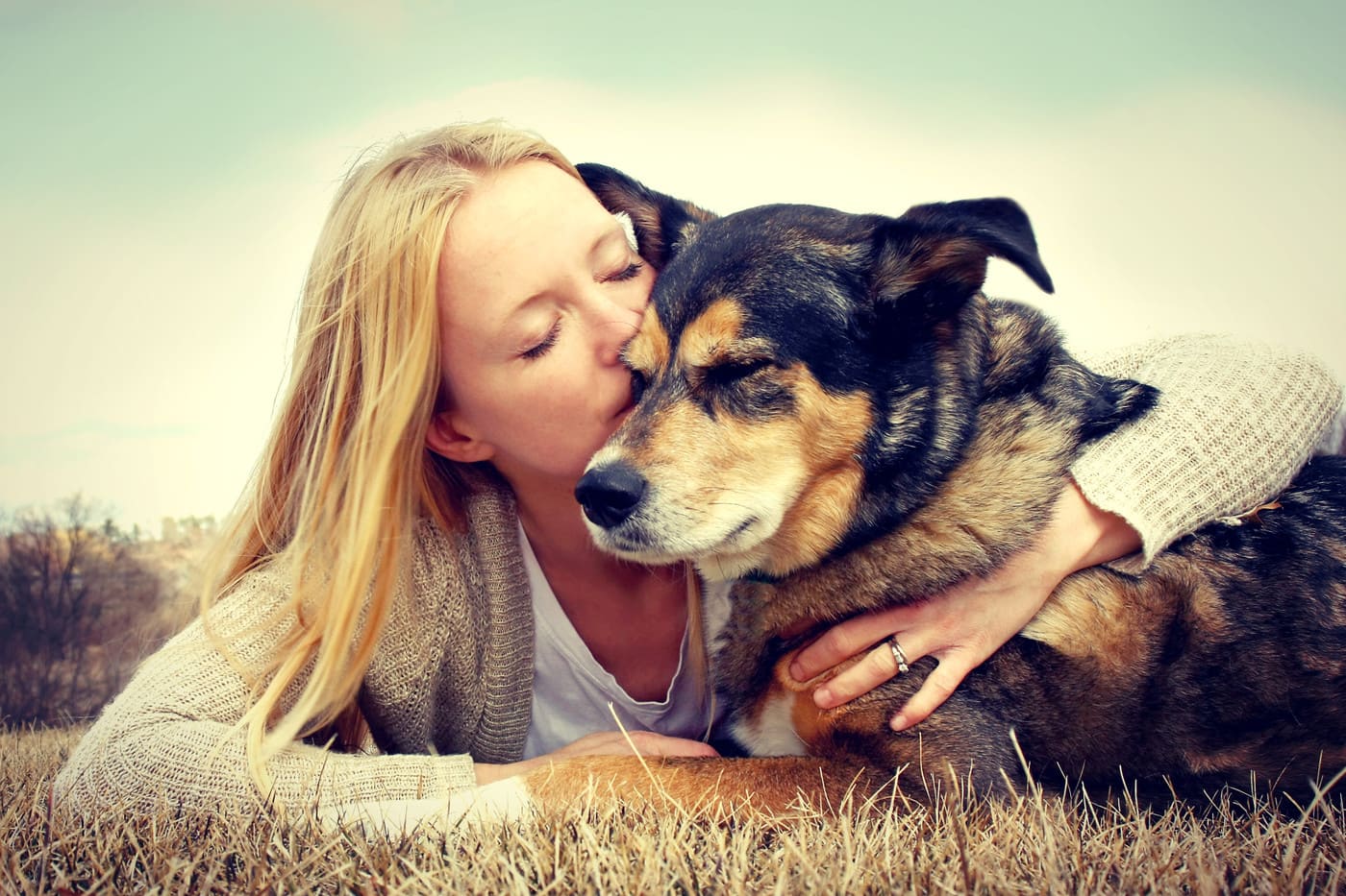 heights pet hospital - Cover photo