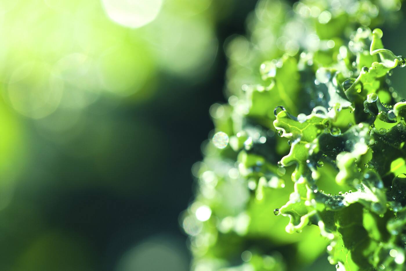Helen Ridge - Alive Natural Health - Cover photo