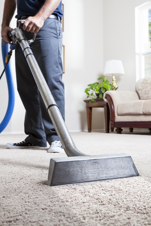 Hendersonville Carpet Cleaning - Logo