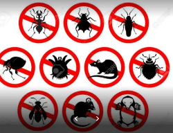 Herbal Care Pest Control - Logo