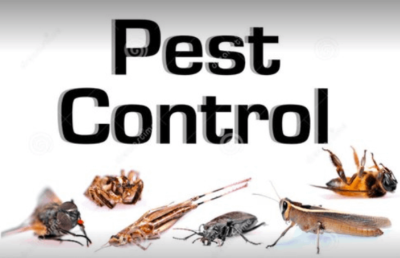 Herbal Care Pest Control - Cover photo