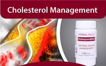 Herbal Hills - Cover photo