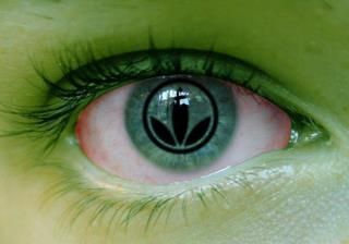 Herbalife Independent Distributor - Anne Chung - Logo