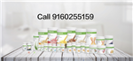 Herbalife Madanapalle - Logo