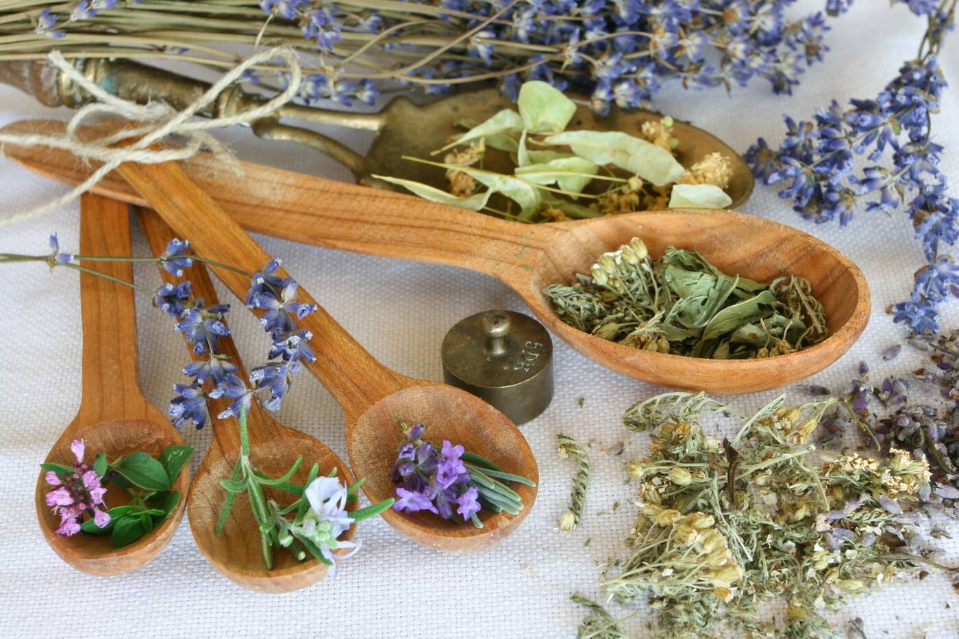 Herbs Health and Inner Harmony - Logo