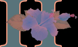 Hibiscus Cafe - Cover photo