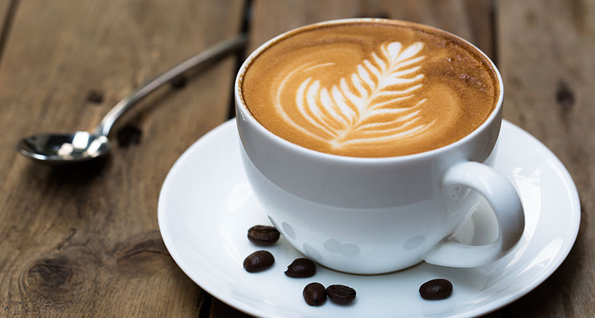 HI-DOZE CAFE - Logo