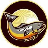 Himalayan Trouts 137977 - Logo