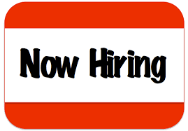 Hireessaywriter - Logo