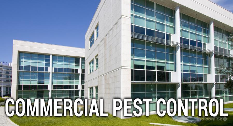 Hi Tech Pest Control Services - Cover photo