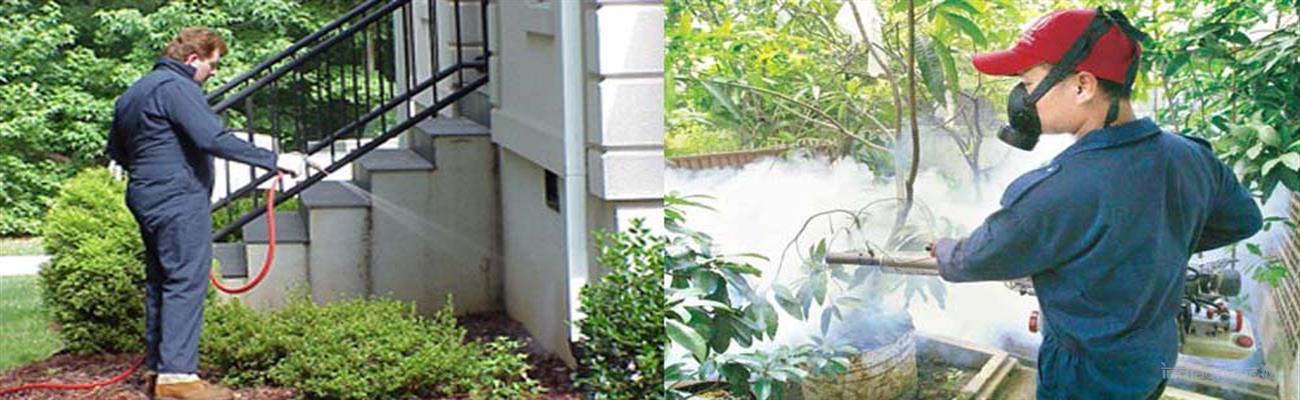 Hi Tech Pest Control Services - Cover photo