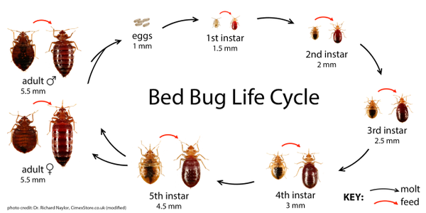 HMG Pest Control - Logo