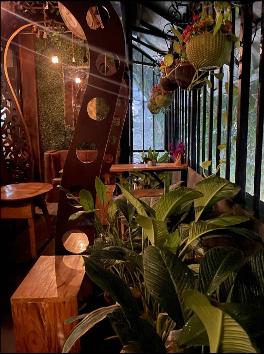 Holiday Cafe - Cover photo