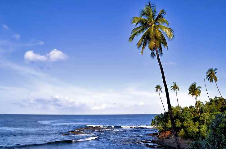 Holiday Treasure India Pvt Ltd - Cover photo