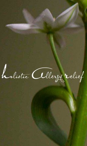 Holistic Allergy Relief - Logo