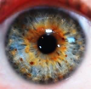 Holistic Iridologist &a; Natural Medicine Practitioner - Cover photo