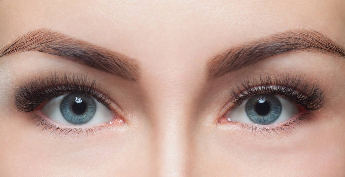 Hollywood Eyebrows - Cover photo