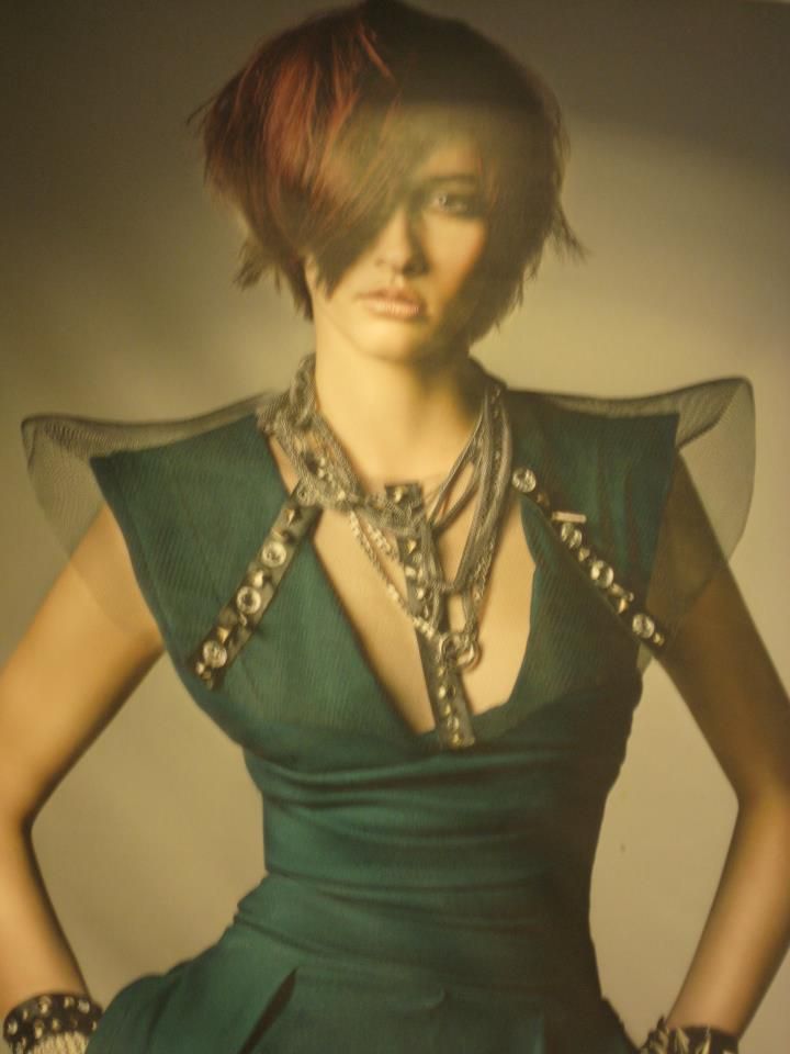 Hollywood Hair - Logo