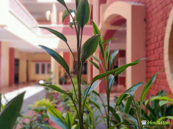 Holy Angels’ ISC School - Logo
